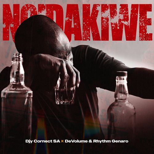 Ngidakiwe cover art
