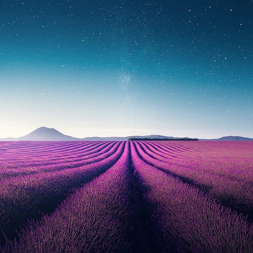 快速入眠的催眠曲 (阿尔法助眠脑波) cover art