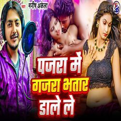 Pajra Me Gajra Bhatar Daale Le