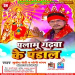 Palamu Gadhwa Ke Pandal (Bhojpuri)