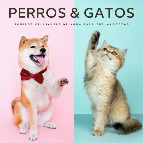 Mascotas Relajadas cover art