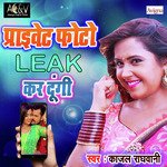 Private Photo Leak Kar Dungi - Single