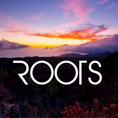 Roots (Originally Performed By Imagine Dragons) [Instrumental Version] - Single