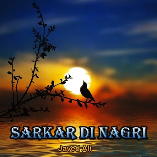 Sarkar Di Nagri