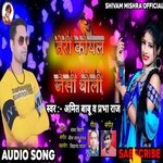 Teri Koyal Jaisi Boli (Bhojpuri Song)