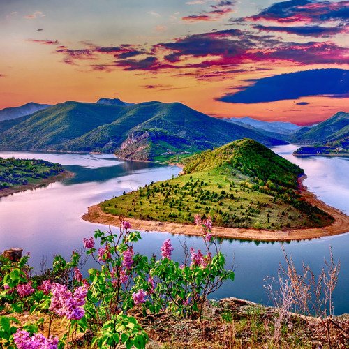 The Angelic Oasis