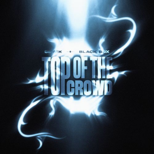 Top Of The Crowd_poster_image