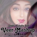 Veer Mashup