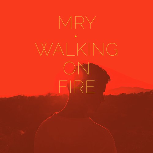 Walking on Fire_poster_image