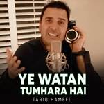 Ye Watan Tumhara Hai
