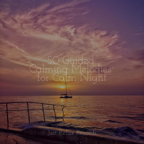 50 Guided Calming Melodies for Calm Night_poster_image