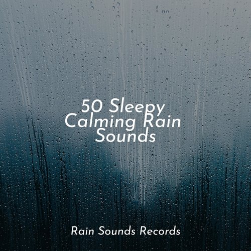 50 Sleepy Calming Rain Sounds_poster_image