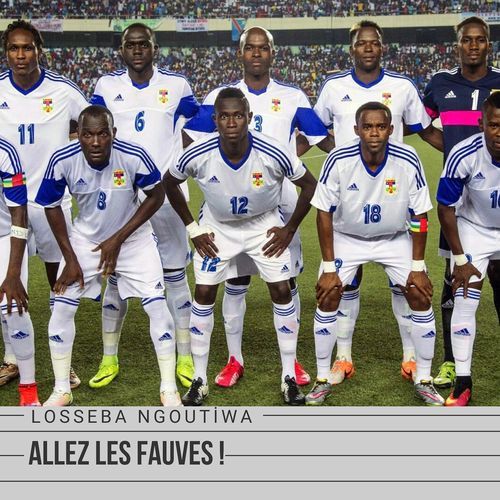 Allez Les Fauves ! cover art
