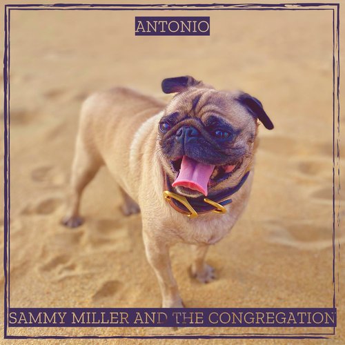 Antonio cover art