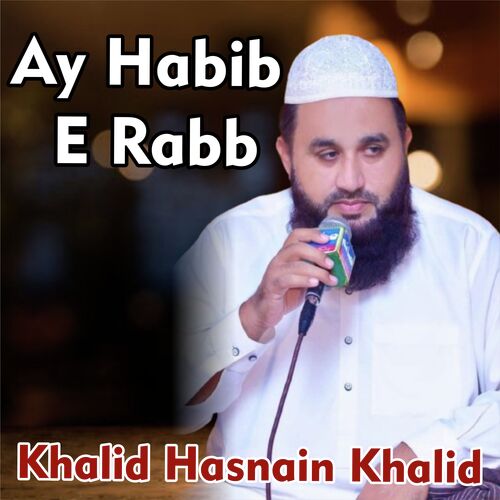 Ay Habib E Rab