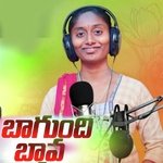 Bagundhi Bava