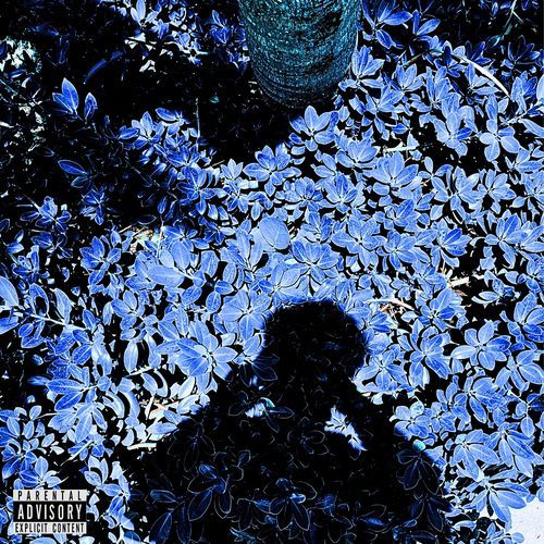 Blackened Frost cover art