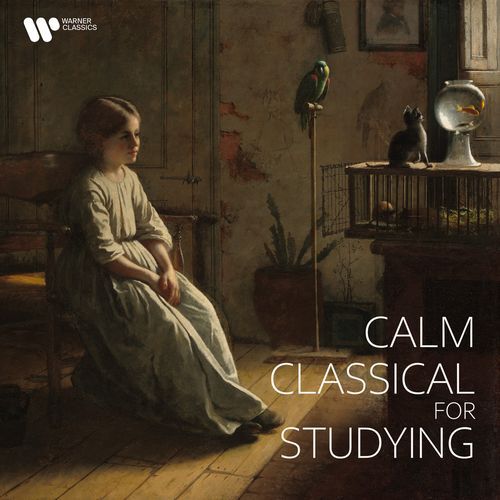 Le nozze di Figaro, K. 492, Act 2: "Voi che sapete" (Arr. Fontaine for Clarinet and Orchestra)