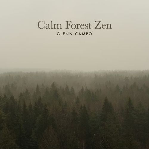 Calm Forest Zen