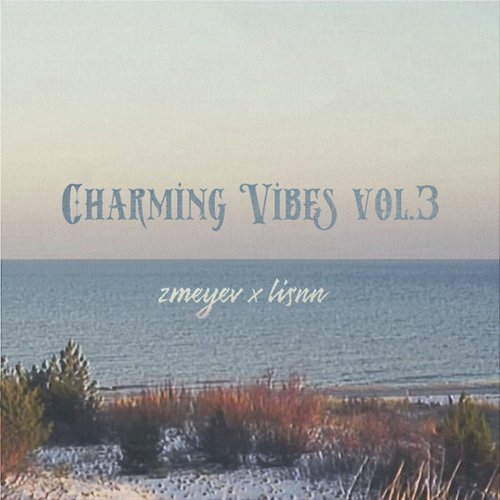 Charming Vibes Vol. 3_poster_image