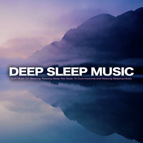 Music For Sleeping Ensemble cover art
