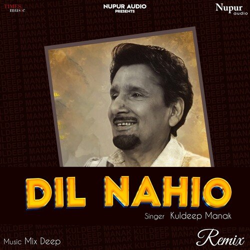Dil Nahio Remix