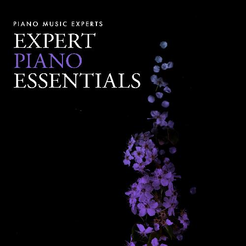 Expert Piano Essentials_poster_image