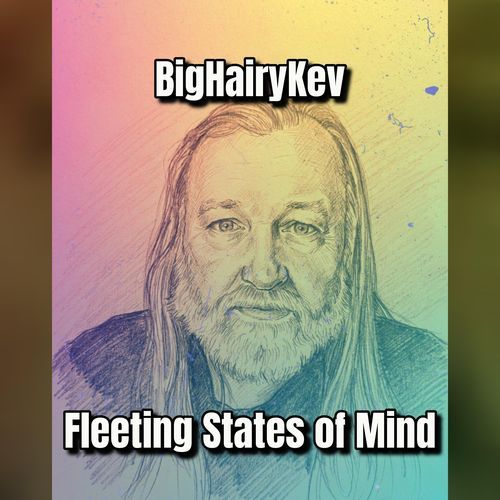 Fleeting State I cover art