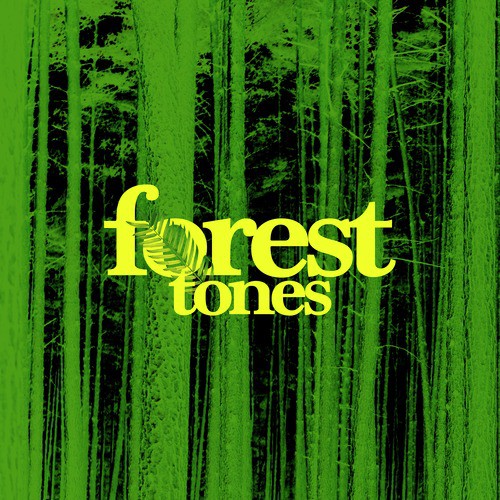 Forest Tones