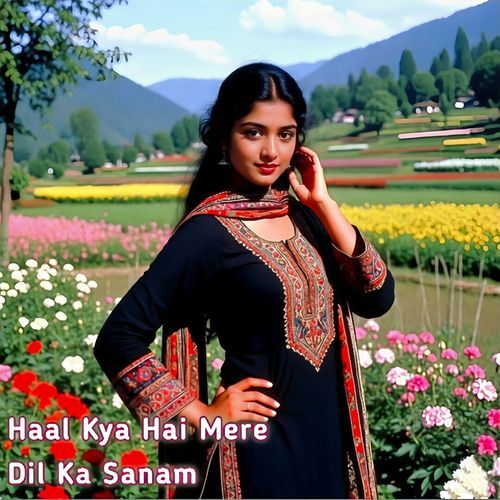 Haal Kya Hai Mere Dil Ka Sanam