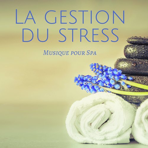 La gestion du stress: Musique pour Spa, Musique pour massage et relaxation pour douleurs musculaires