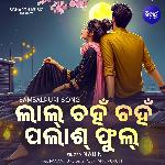 Laal Chah Chah Palsa Phula