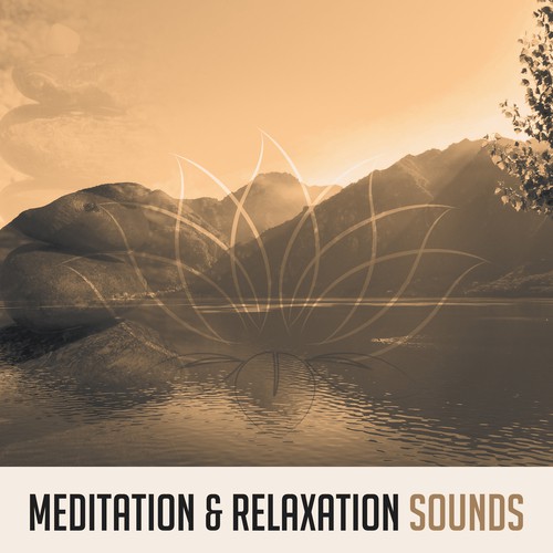 Calm Zone cover art