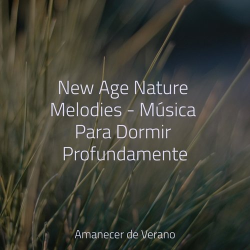 New Age Nature Melodies - Música Para Dormir Profundamente_poster_image