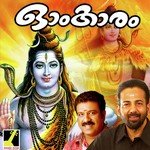 Vignam Vigneshwaranal