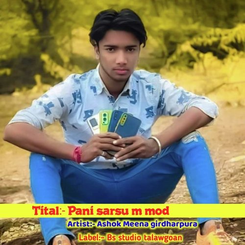 Pani Sarsu M Mod