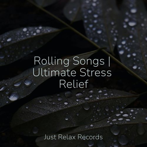 Rolling Songs | Ultimate Stress Relief