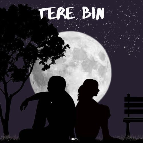 Tere Bin