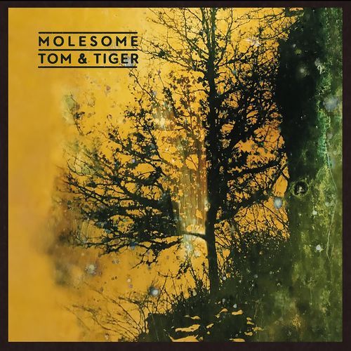 Tom & Tiger, Pt.  1 cover art