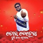 Tor Chehera Bhuli Nai Hebar