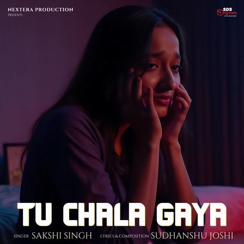 Tu Chala Gaya