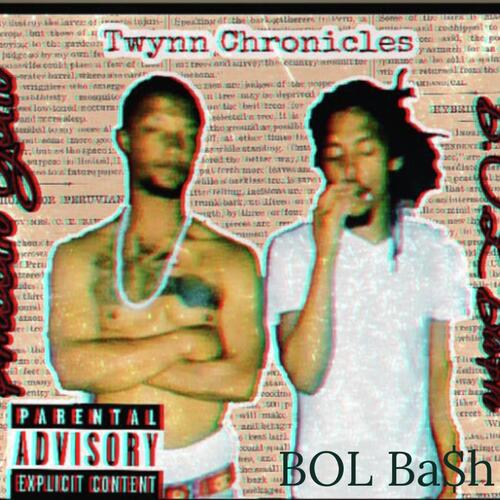 Twynn Chronicles cover art