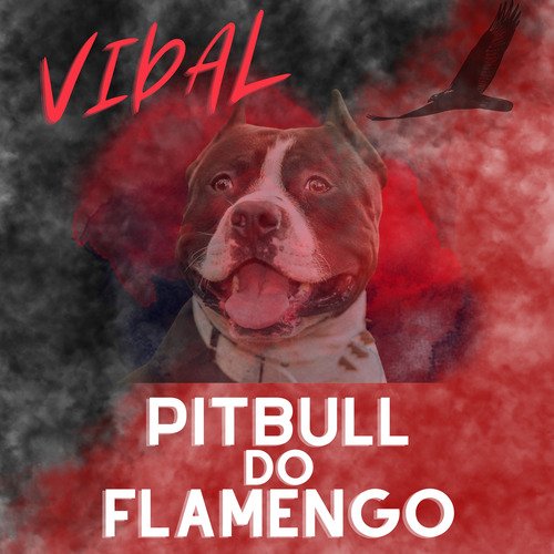 Vidal Pitbull do Flamengo cover art
