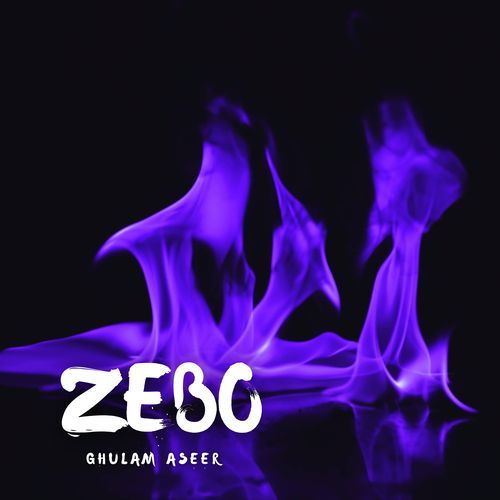 Zebo
