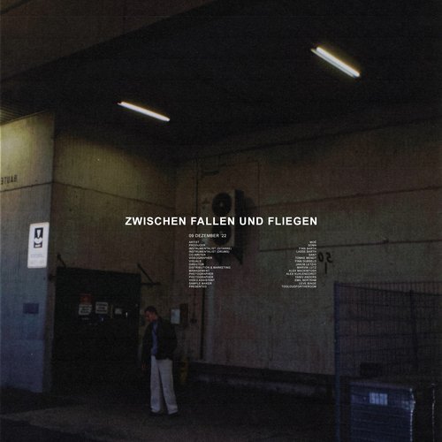 Zwischen Fallen und Fliegen_poster_image