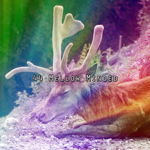 The Gate To Dreamworld cover art