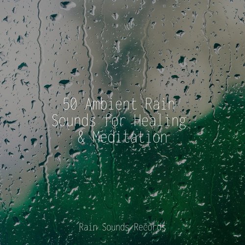 50 Ambient Rain Sounds for Healing & Meditation