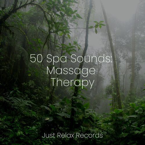 50 Spa Sounds: Massage Therapy