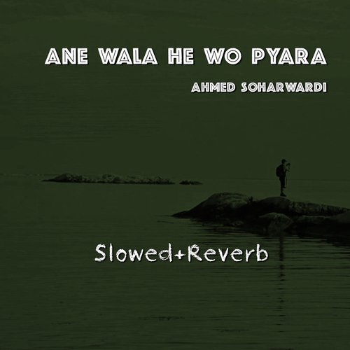 Ane Wala He Wo Pyara