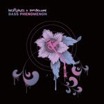 Bass Phenomenon